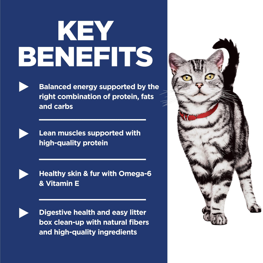 Hill's Science Diet bol con pienso listo para servir y apetitoso