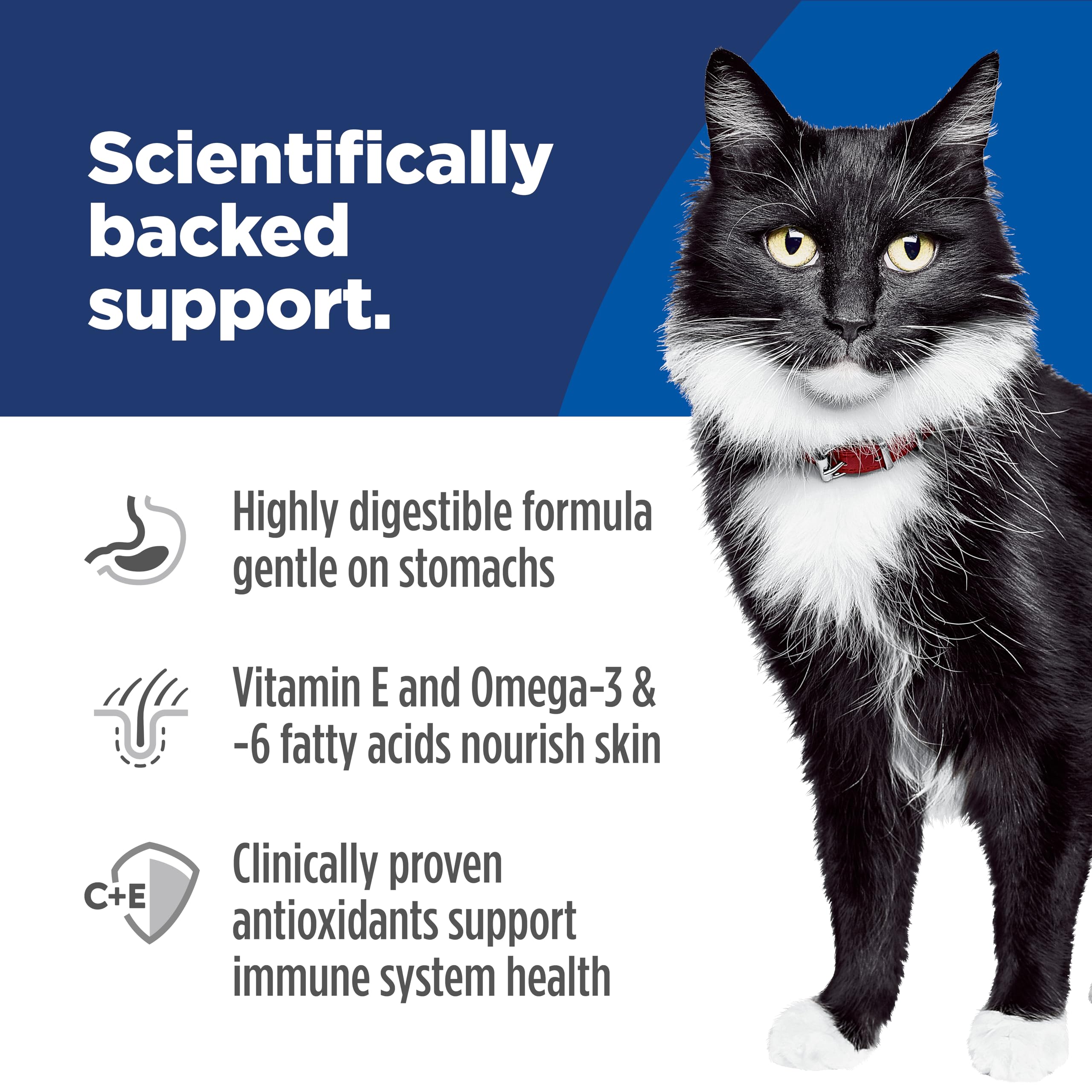 Hill's Science Diet etiqueta de nutrientes destacando vitaminas y antioxidantes beneficiosos