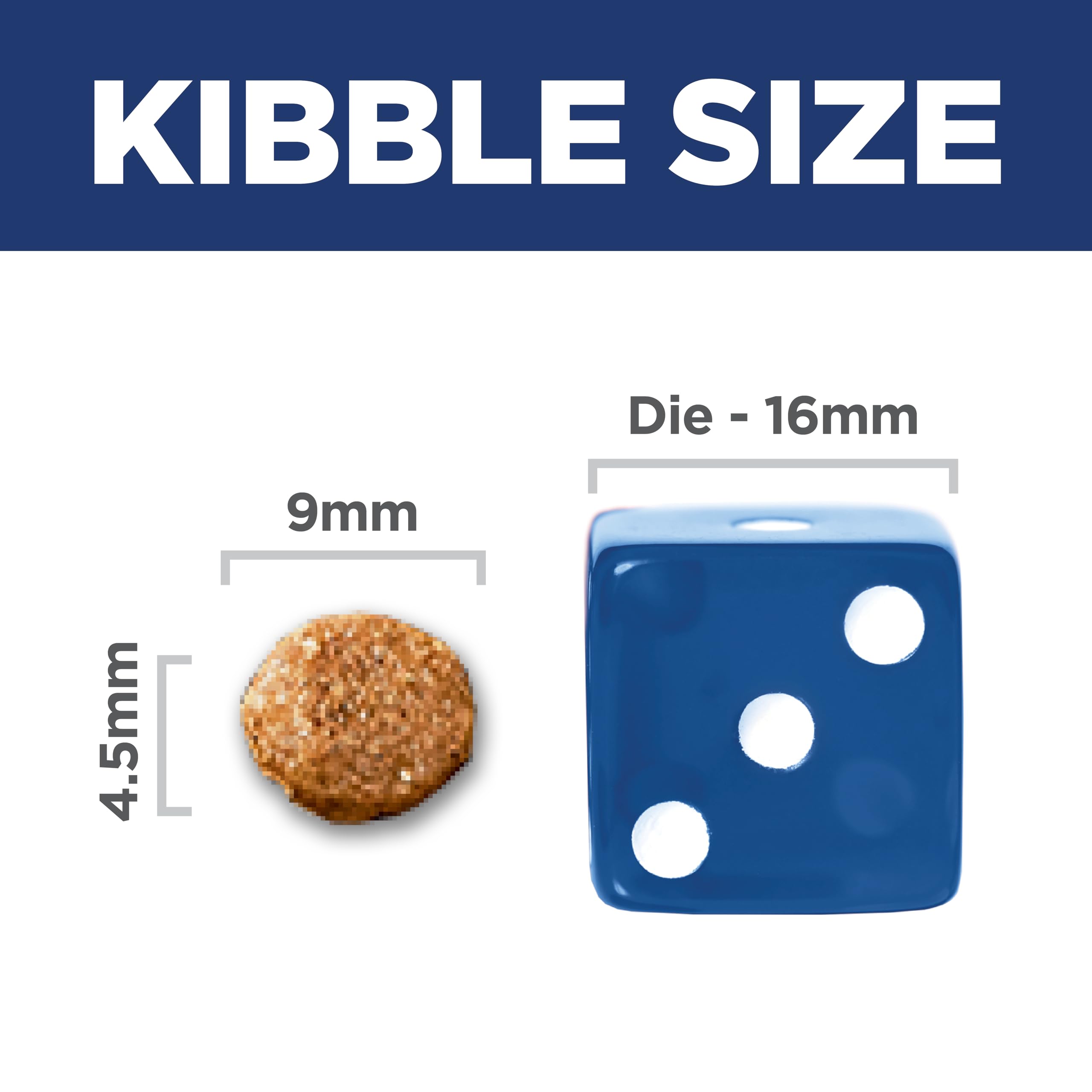 Hill's Science Diet dog happily eating kibble demonstrating palatability