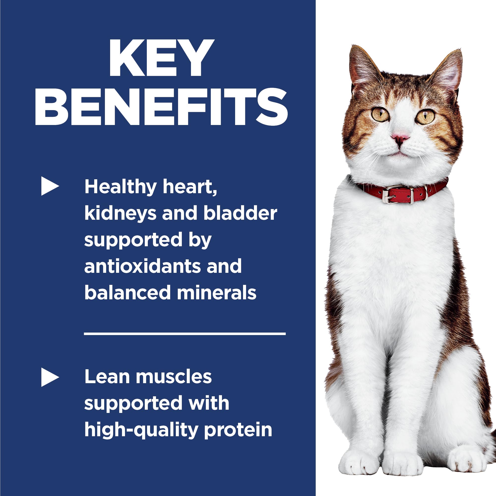 Hill's Science Diet ingredientes clave reales, resaltando proteína y prebióticos