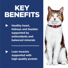 Hill's Science Diet ingredientes clave reales, resaltando proteína y prebióticos
