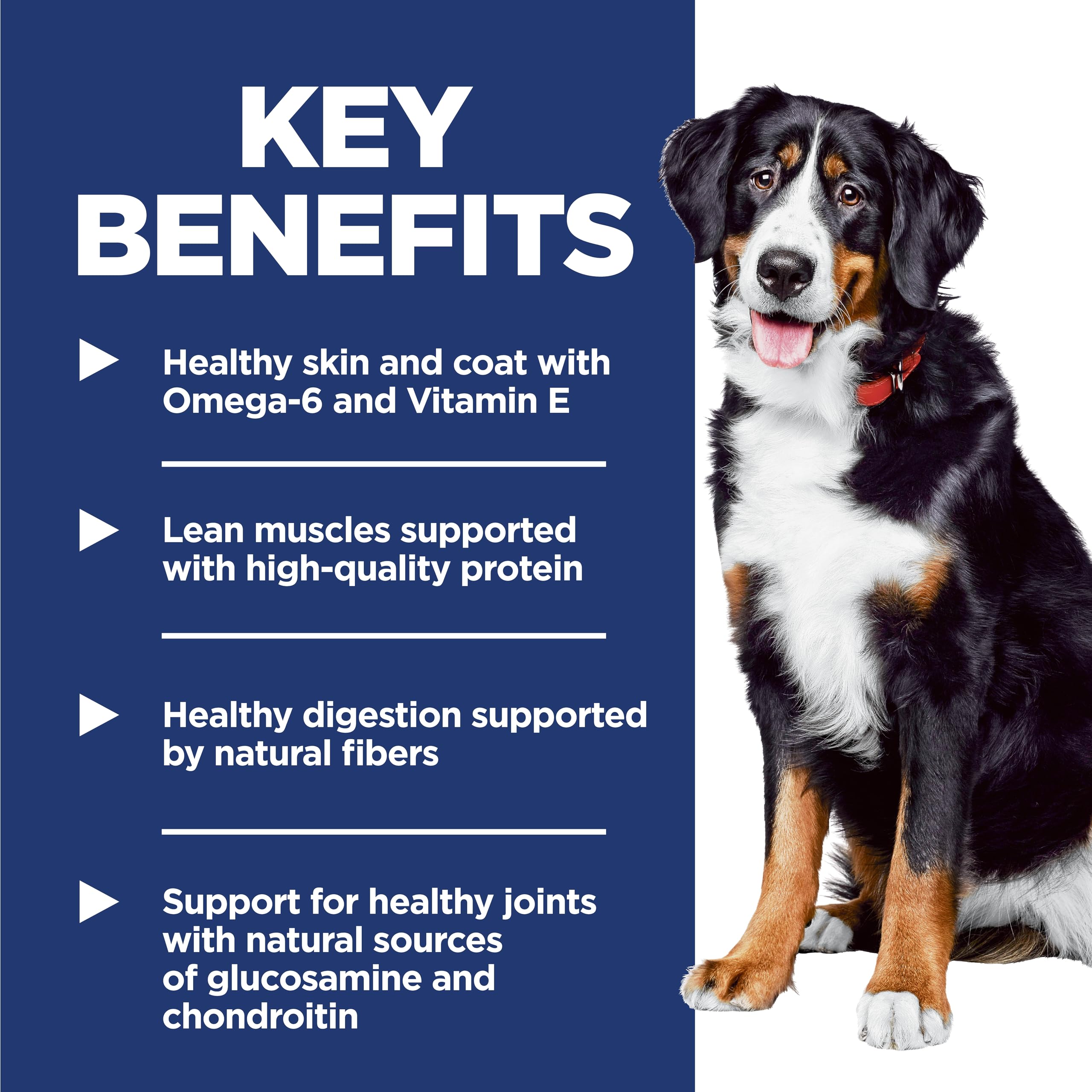 Hill's Science Diet etiqueta con ActivBiome+ destacada para salud digestiva