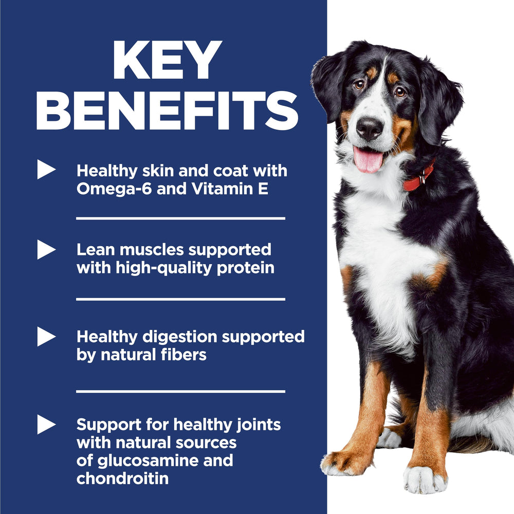 Hill's Science Diet etiqueta con ActivBiome+ destacada para salud digestiva