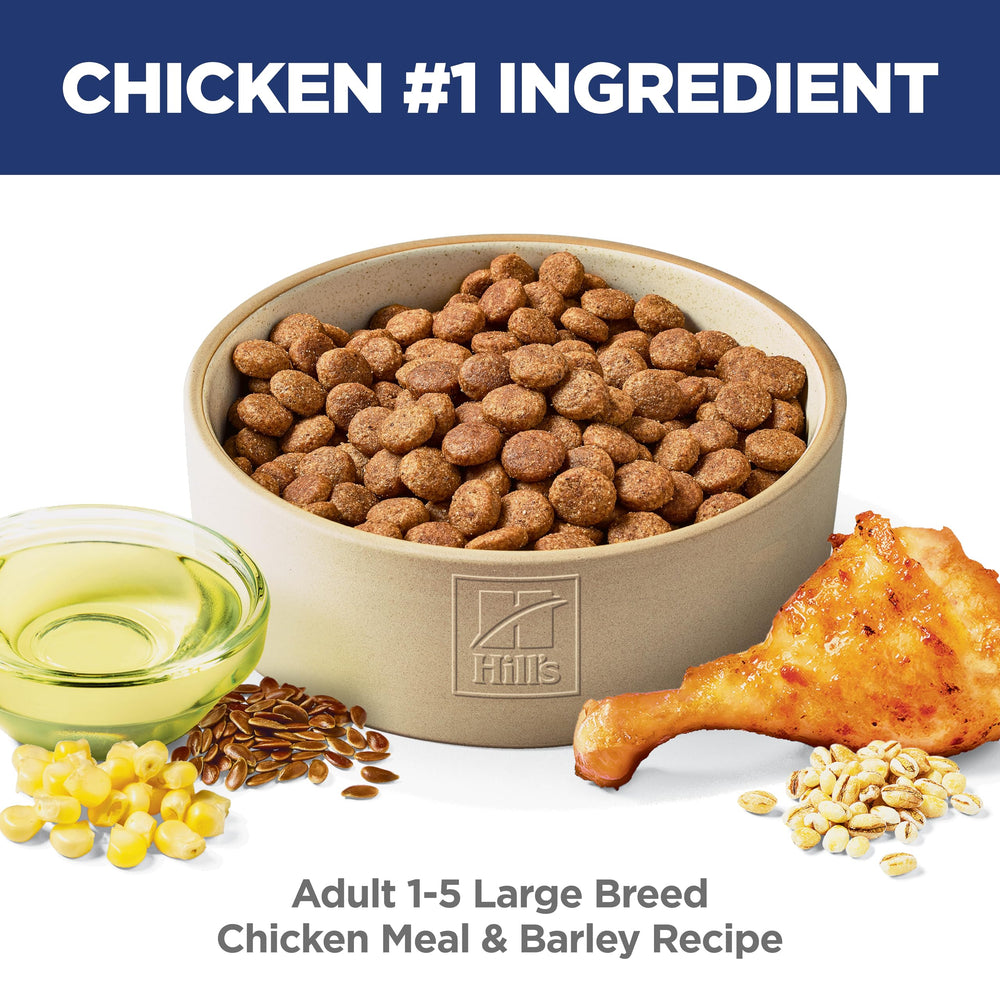 Hill's Science Diet textura croquetas visibles y fácil masticación para perros grandes