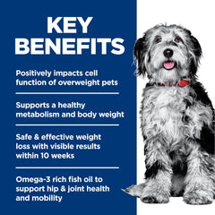 Hill's Science Diet perro comiendo, mejora la movilidad y energía