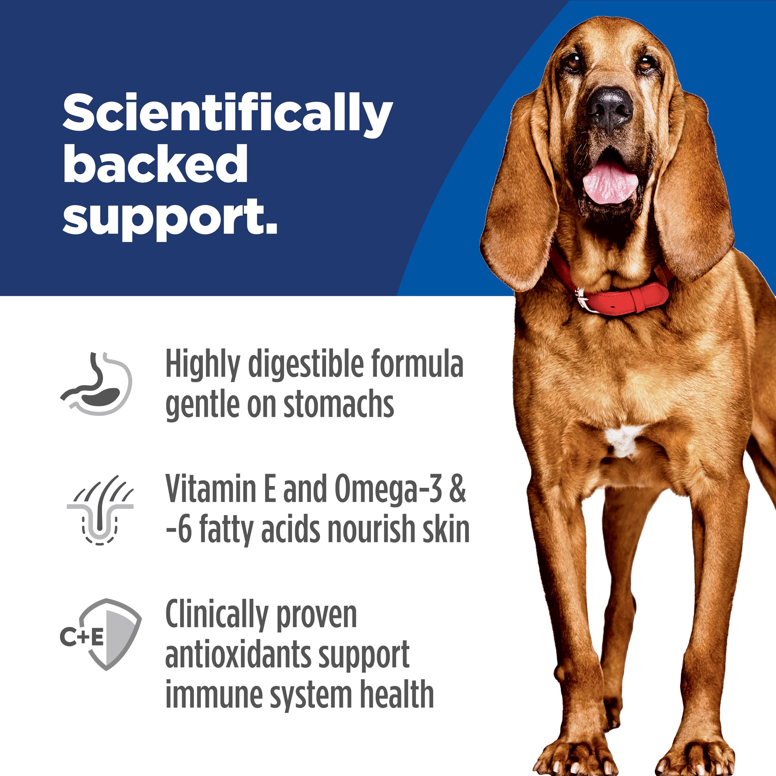 Hill's Science Diet tamaño de kibble adecuado para perros grandes