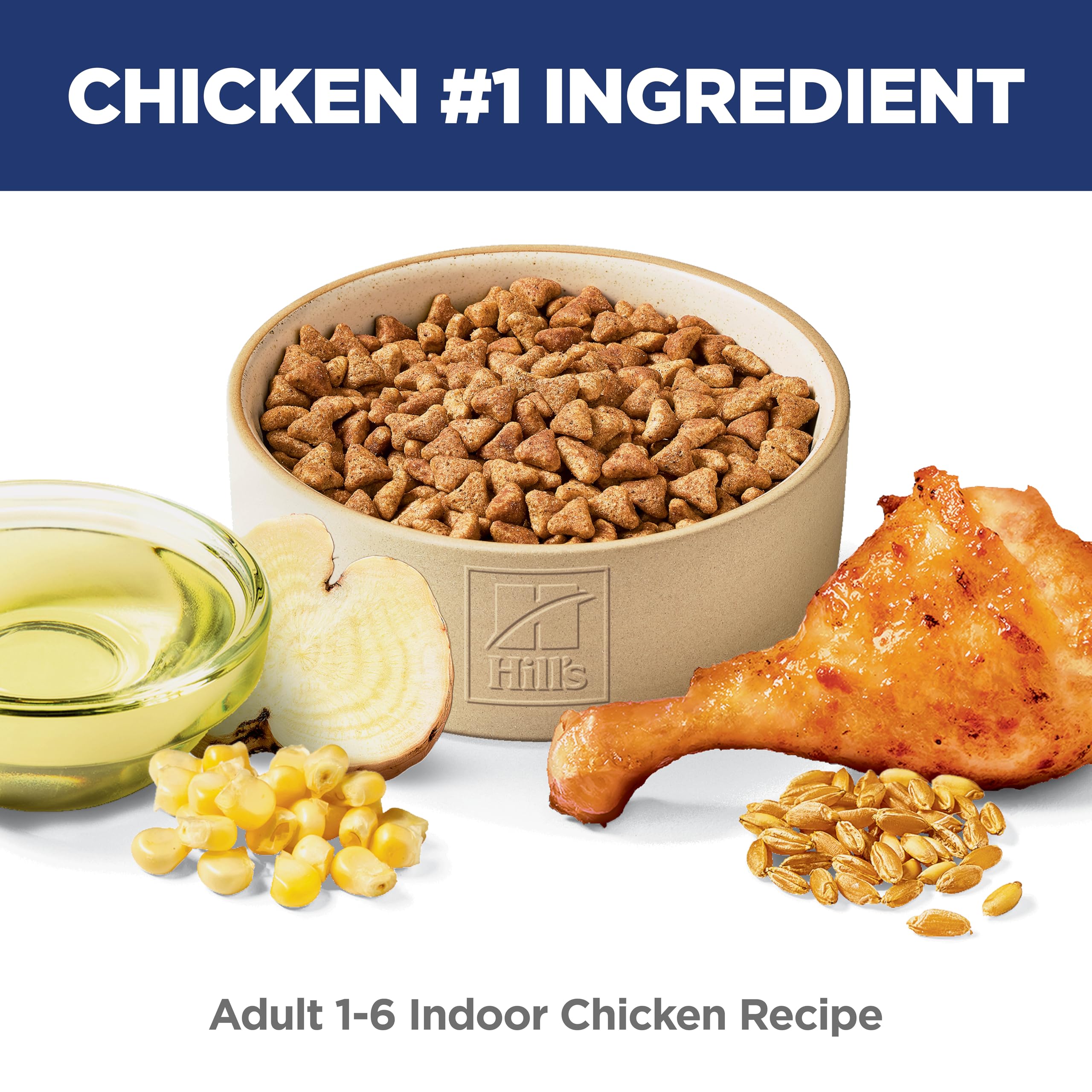 Hill's Science Diet primer plano del kibble para apreciar textura