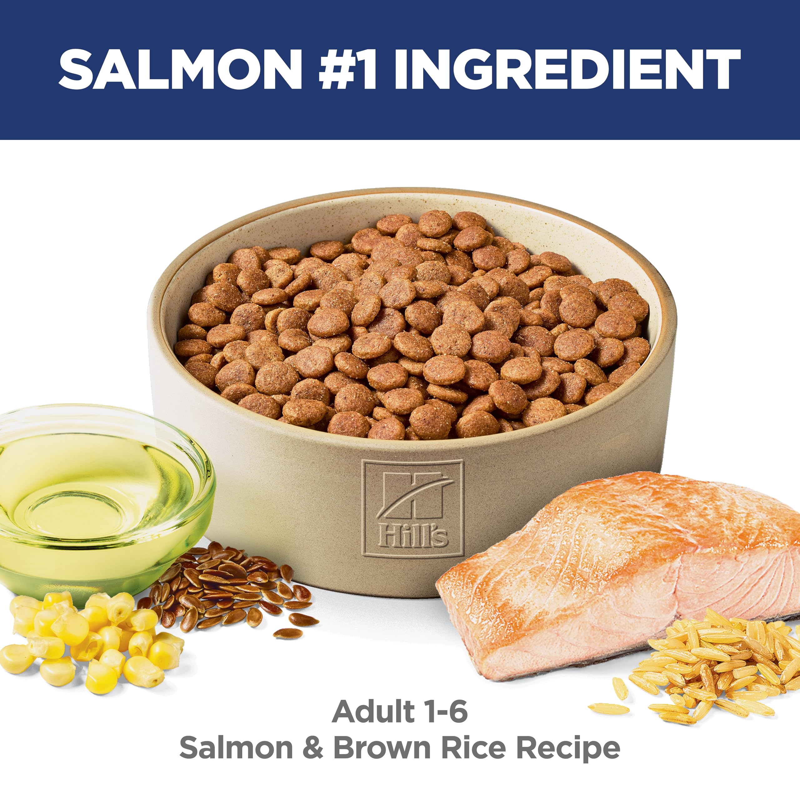 Hill's Science Diet textura del kibble cercana para apreciar calidad y forma