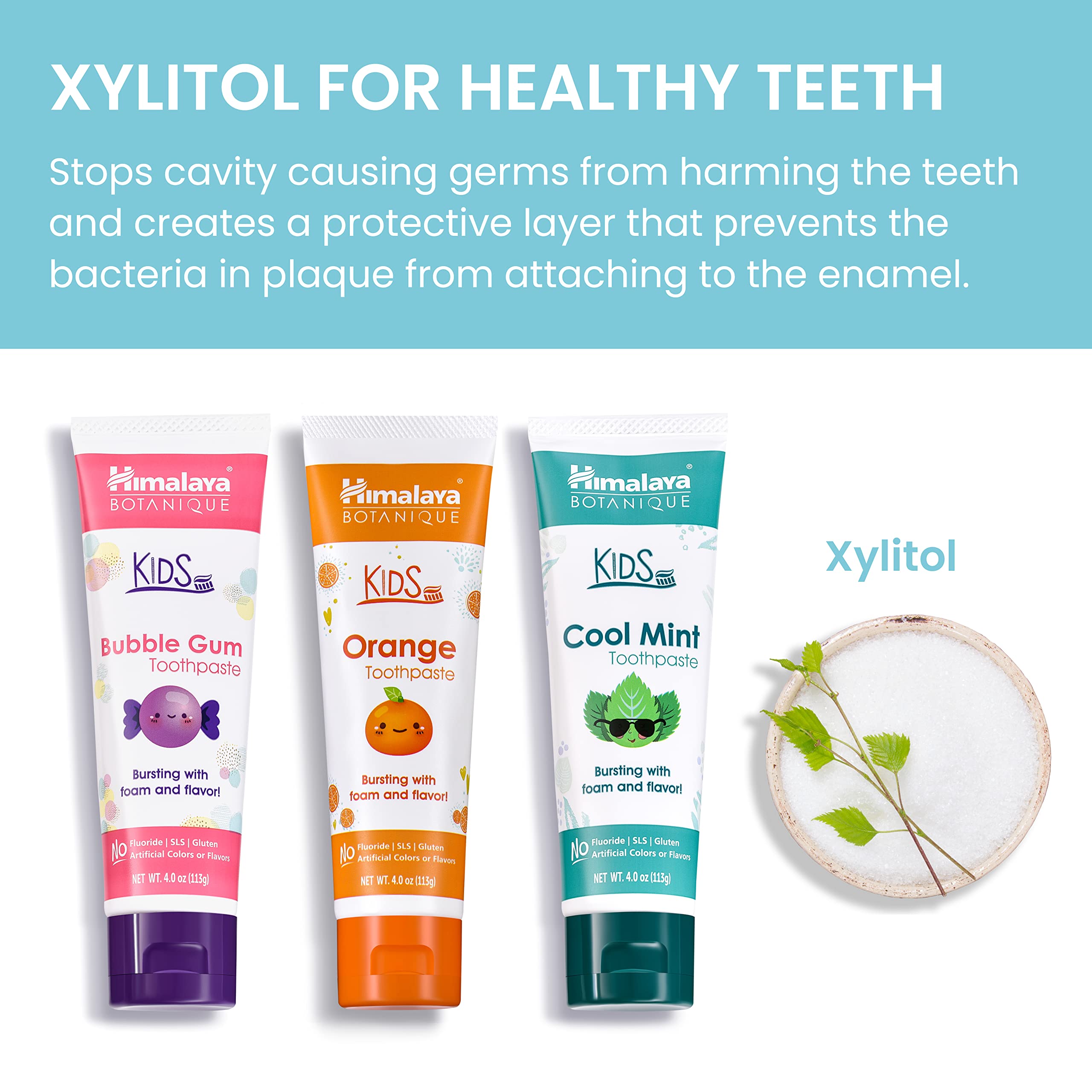 Himalaya primer plano de Neem y Granada usados para limpieza natural