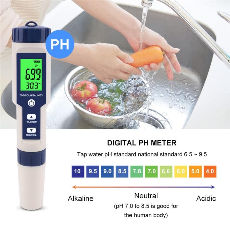 Hofun meter next to ruler for scale to show portable size advantage