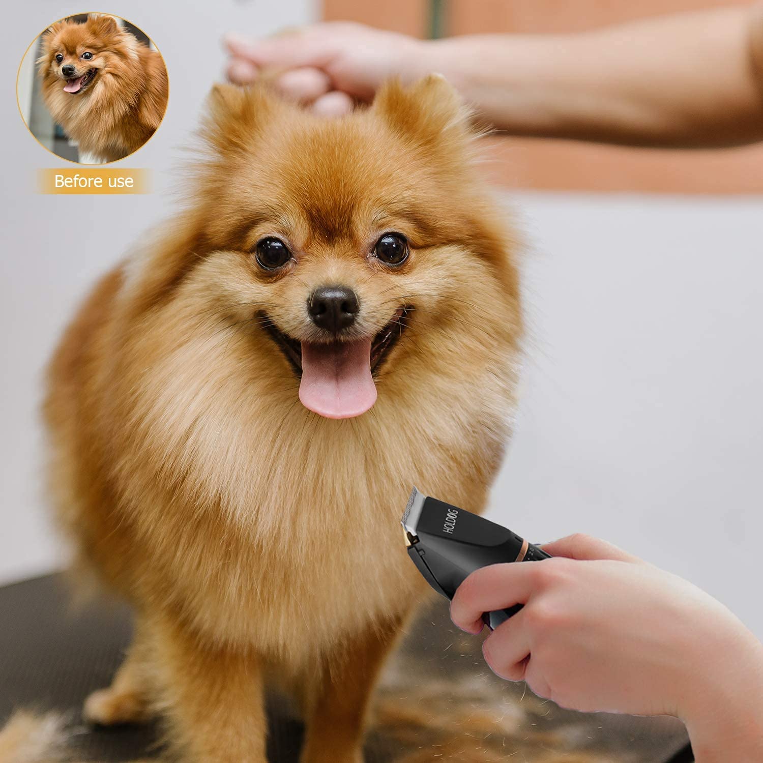 HOLDOG cortapelo en ambiente doméstico para peluquería casera tranquila