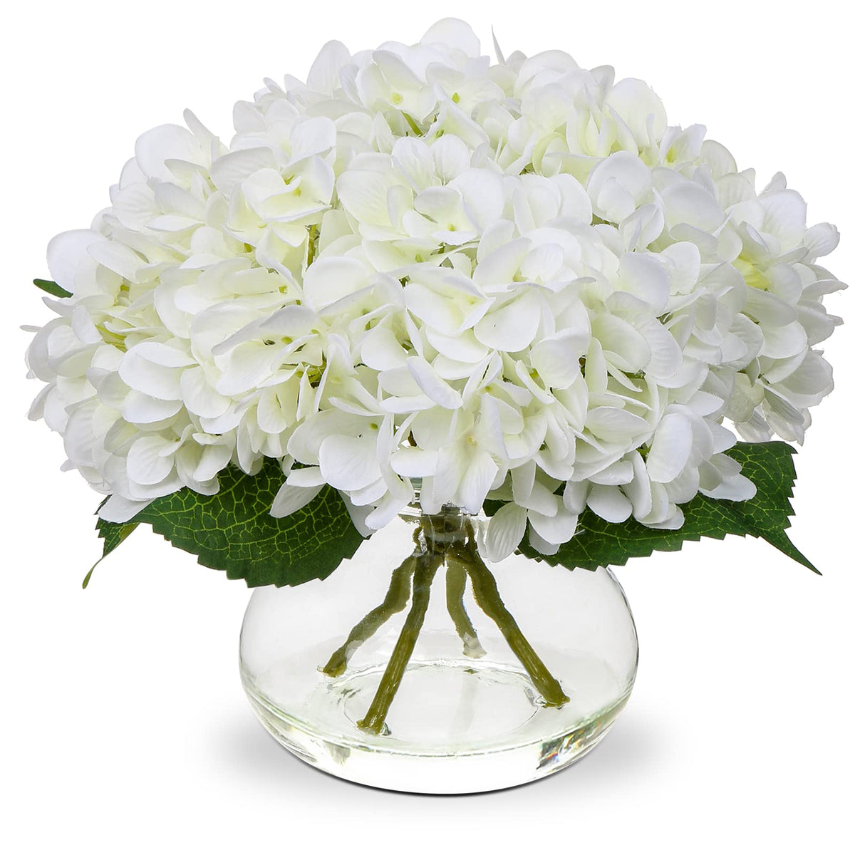 Hollyone vista frontal del jarrón con hortensias realismo decorativo