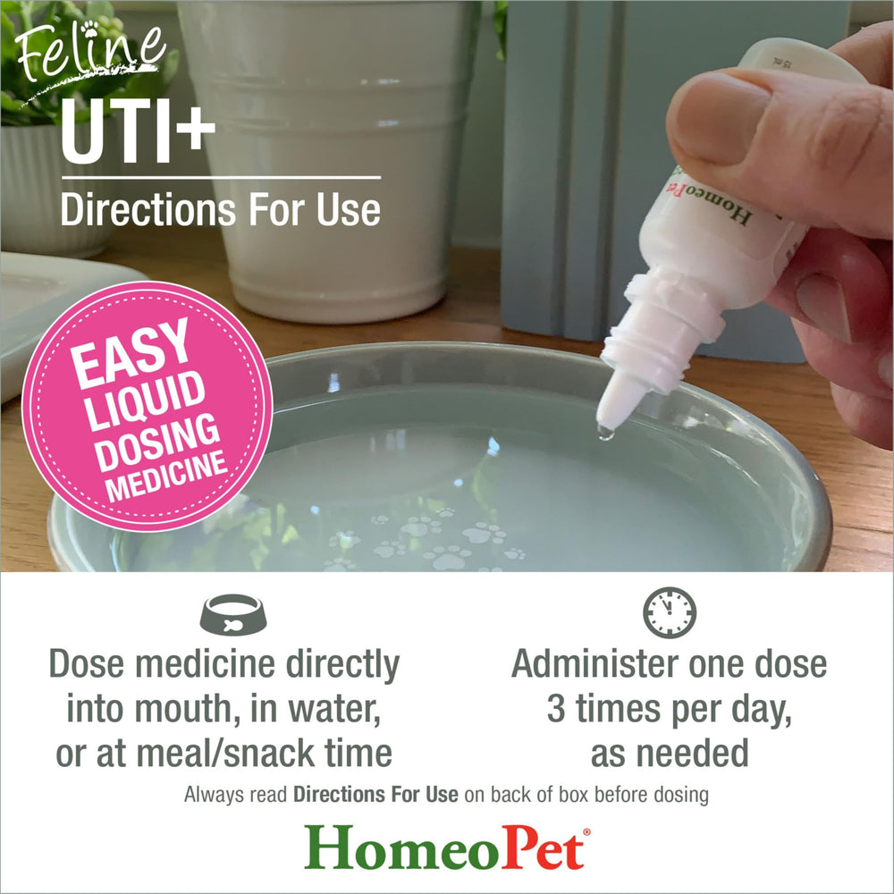 HomeoPet frasco junto a moneda para comparar la escala y tamaño 15 ml