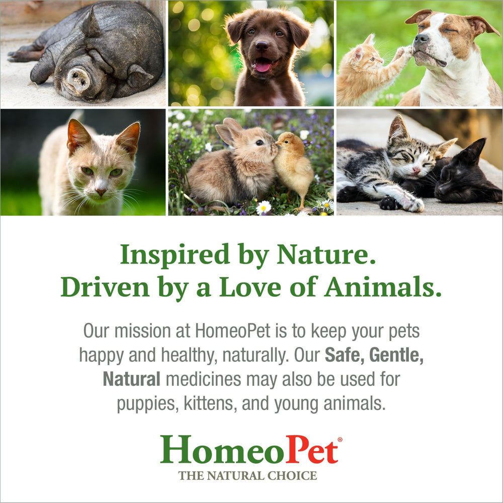 HomeoPet etiqueta cercana con ingredientes y pautas para uso seguro