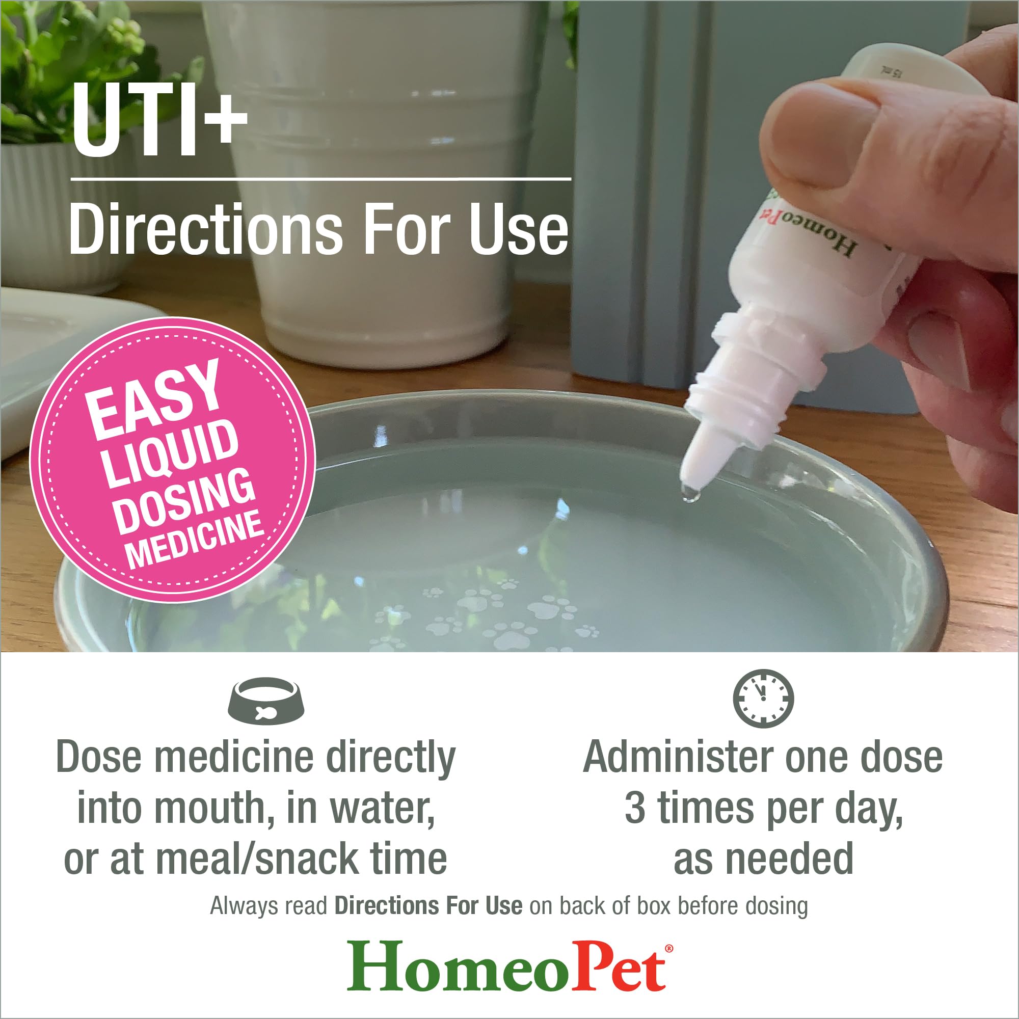 HomeoPet UTI+ gotas añadidas en plato de agua para gato mostrando comodidad