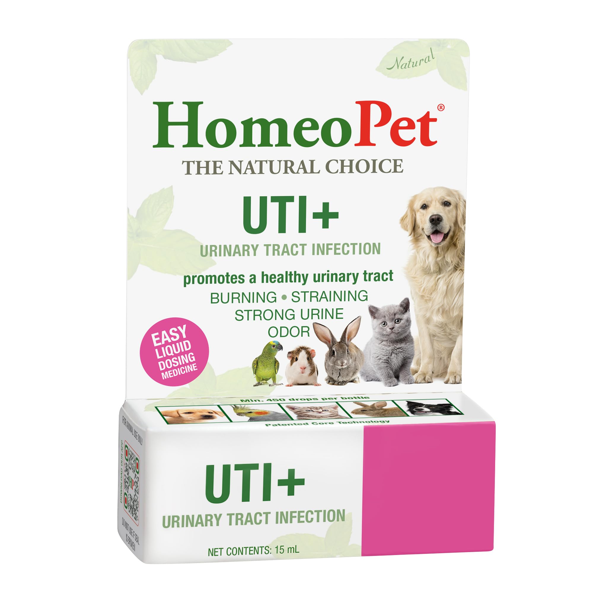 HomeoPet UTI+ en escena doméstica con mascota tranquila tras administración