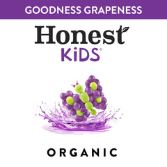 Honest Kids cajita en mano demostrando tamaño portátil y práctico