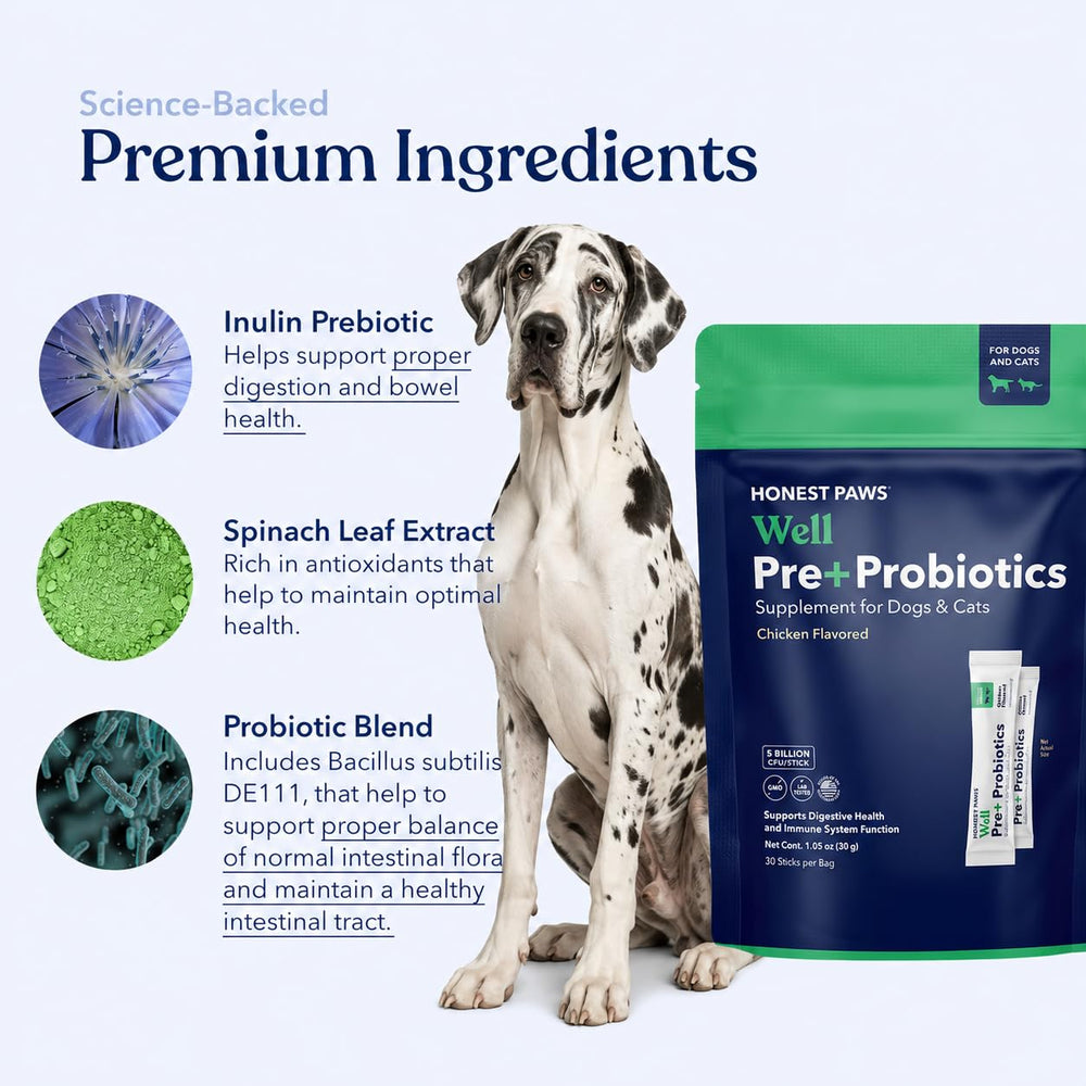 Honest Paws espolvoreado sobre croquetas, aumenta aceptación del alimento