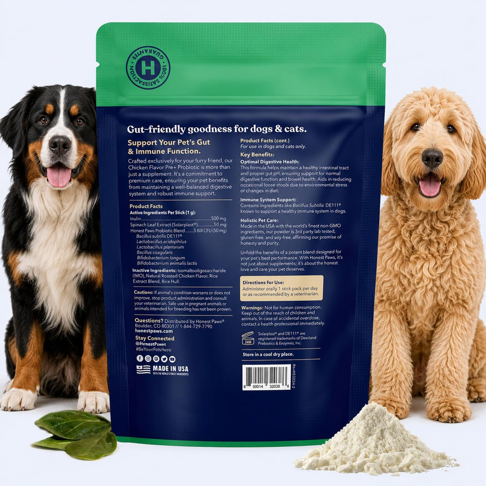 Honest Paws polvo mezclado en plato de perro, mejora la digestión diaria