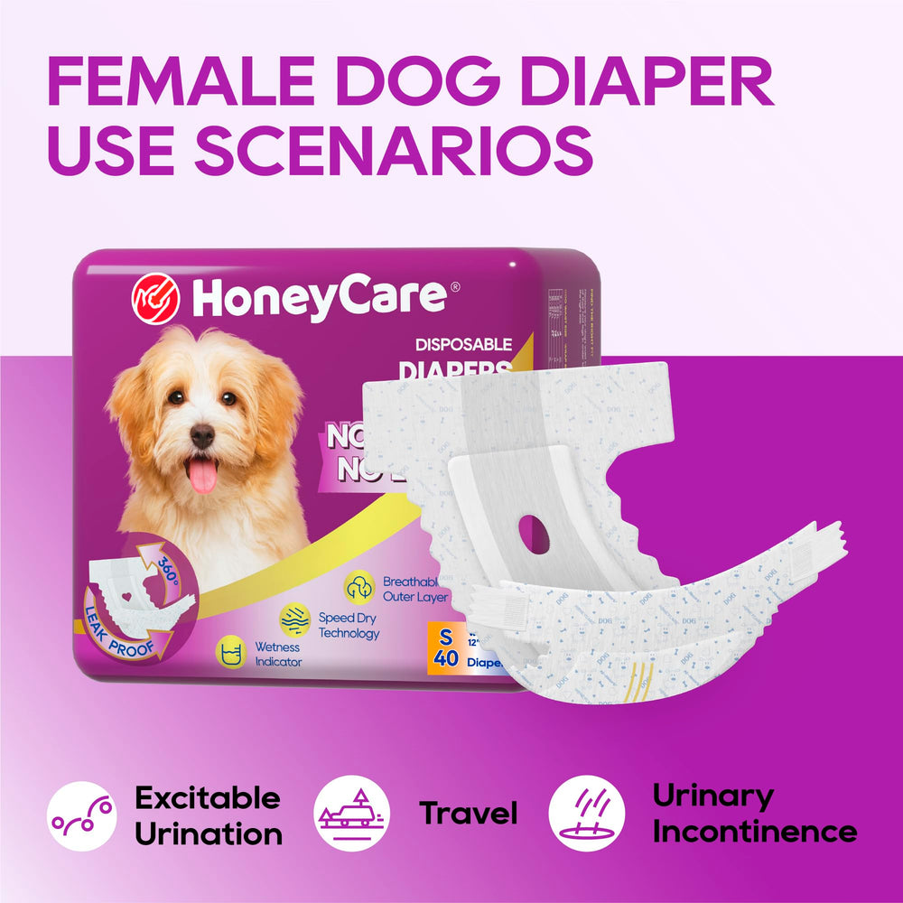 HONEY CARE comparación de tallas con cintas métricas para elegir correctamente