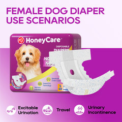 HONEY CARE comparación de tallas con cintas métricas para elegir correctamente