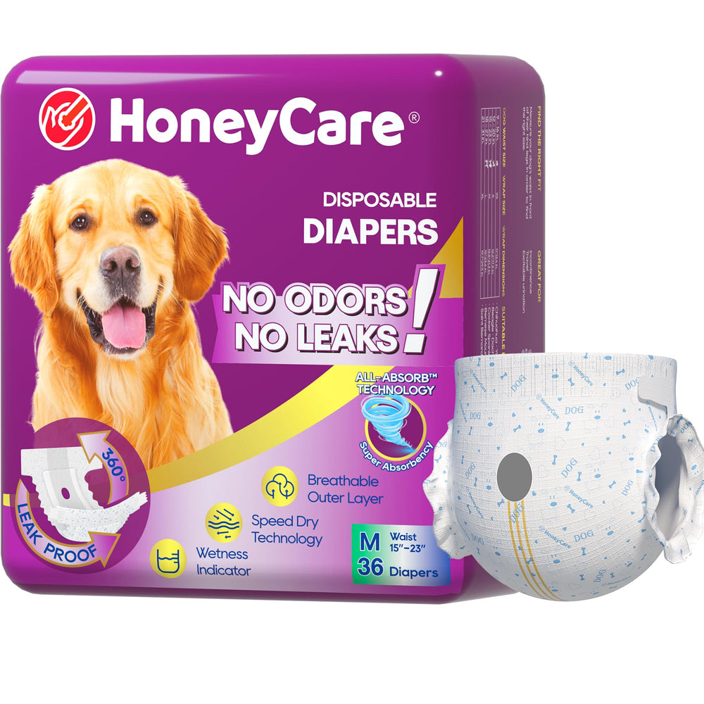 HONEY CARE paquete frontal con 36 pañales, comodidad y protección