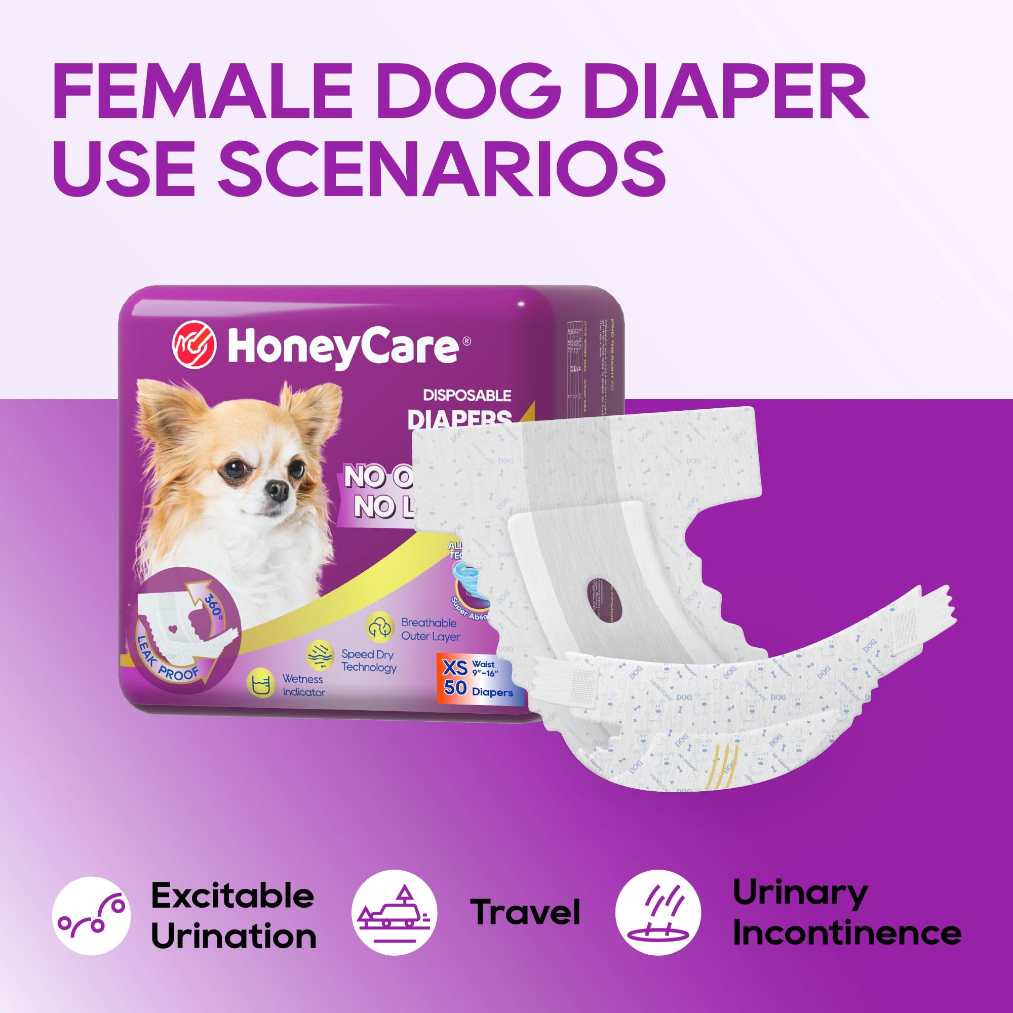 HONEY CARE perro pequeño usando pañal en interior para comodidad y higiene