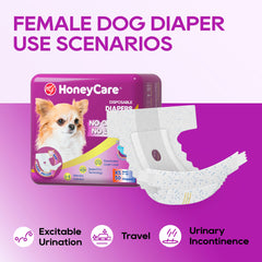 HONEY CARE perro pequeño usando pañal en interior para comodidad y higiene