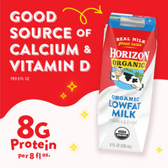 Horizon Organic cartons in a child's lunchbox offering portable nutrition