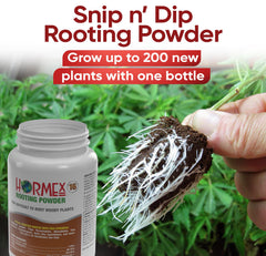 Label and dosage instructions on Hormex container ensuring correct application