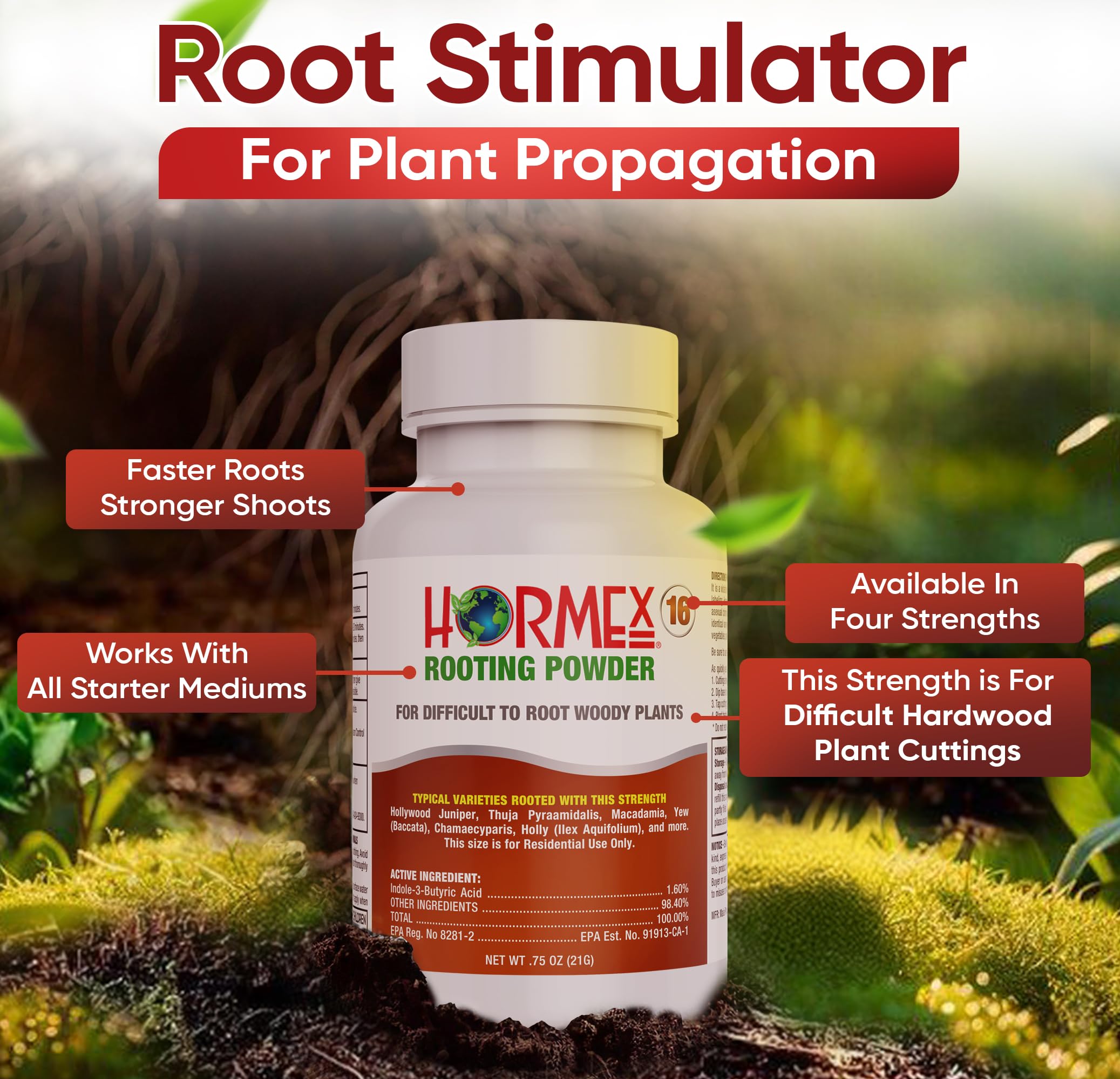 Close-up of Hormex powder texture highlighting purity and easy application