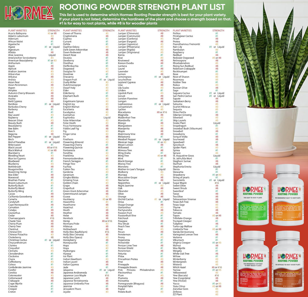 Container next to ruler for size scale showing Hormex portability and quantity