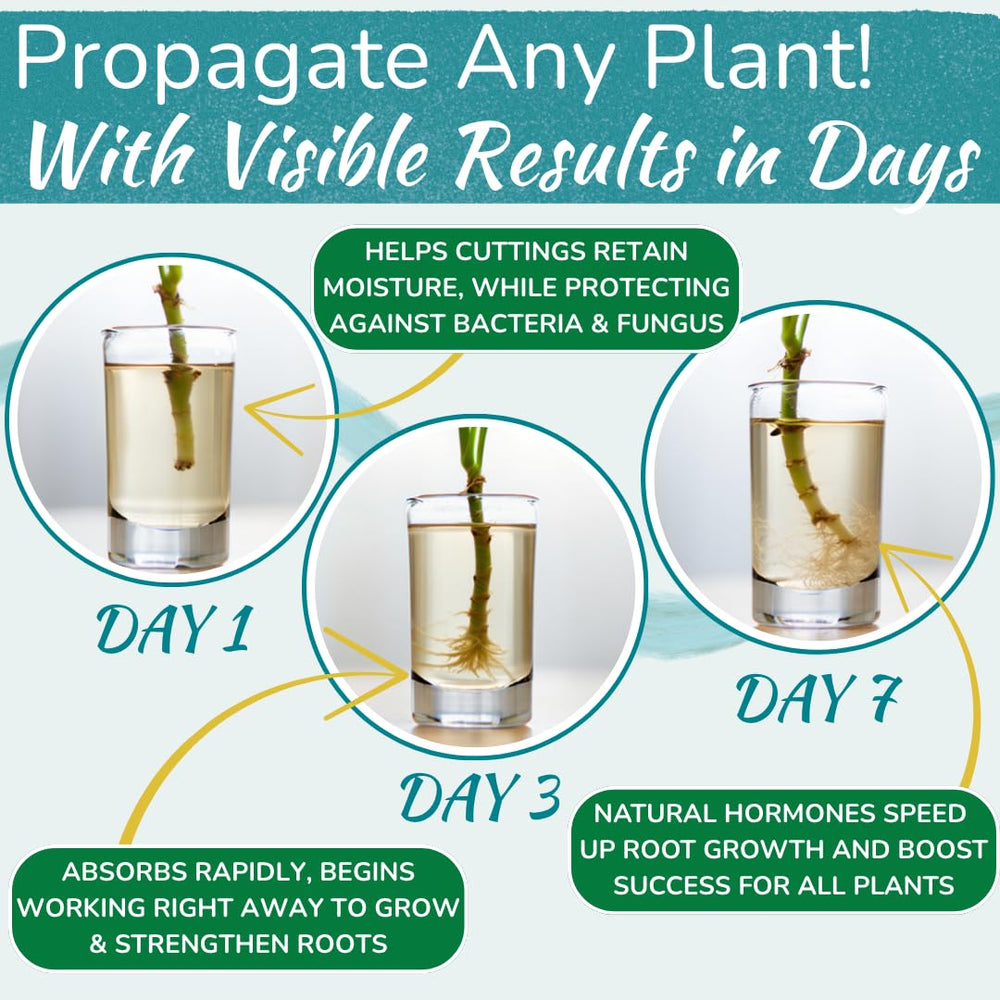 HOUSEPLANT RESOURCE CENTER bottle in hand illustrating easy pour and size