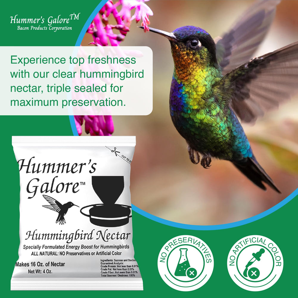 Hummer's Galore comedero colgante en jardín atrayendo colibrí, alimenta naturalmente