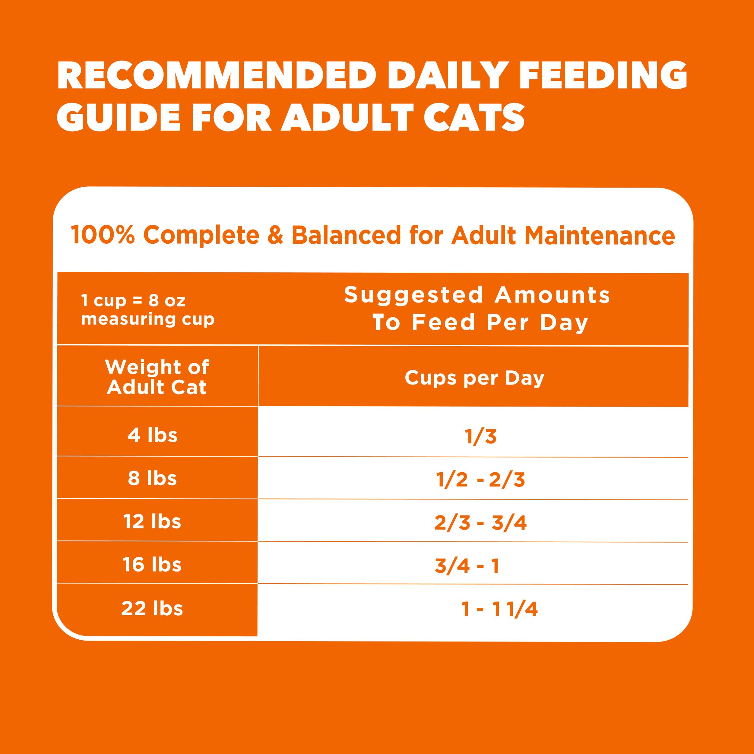IAMS entorno doméstico con gato activo y pelaje brillante