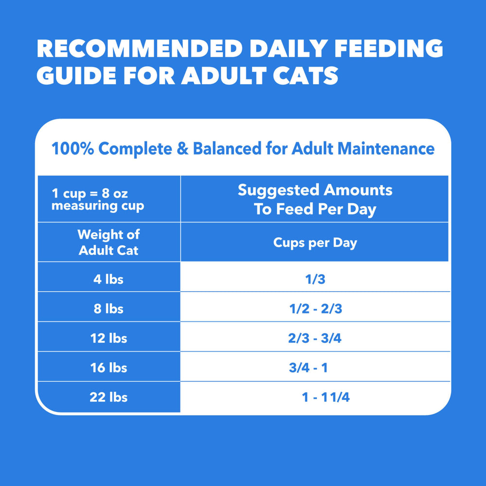 IAMS escena lifestyle con gato activo y ambiente hogareño