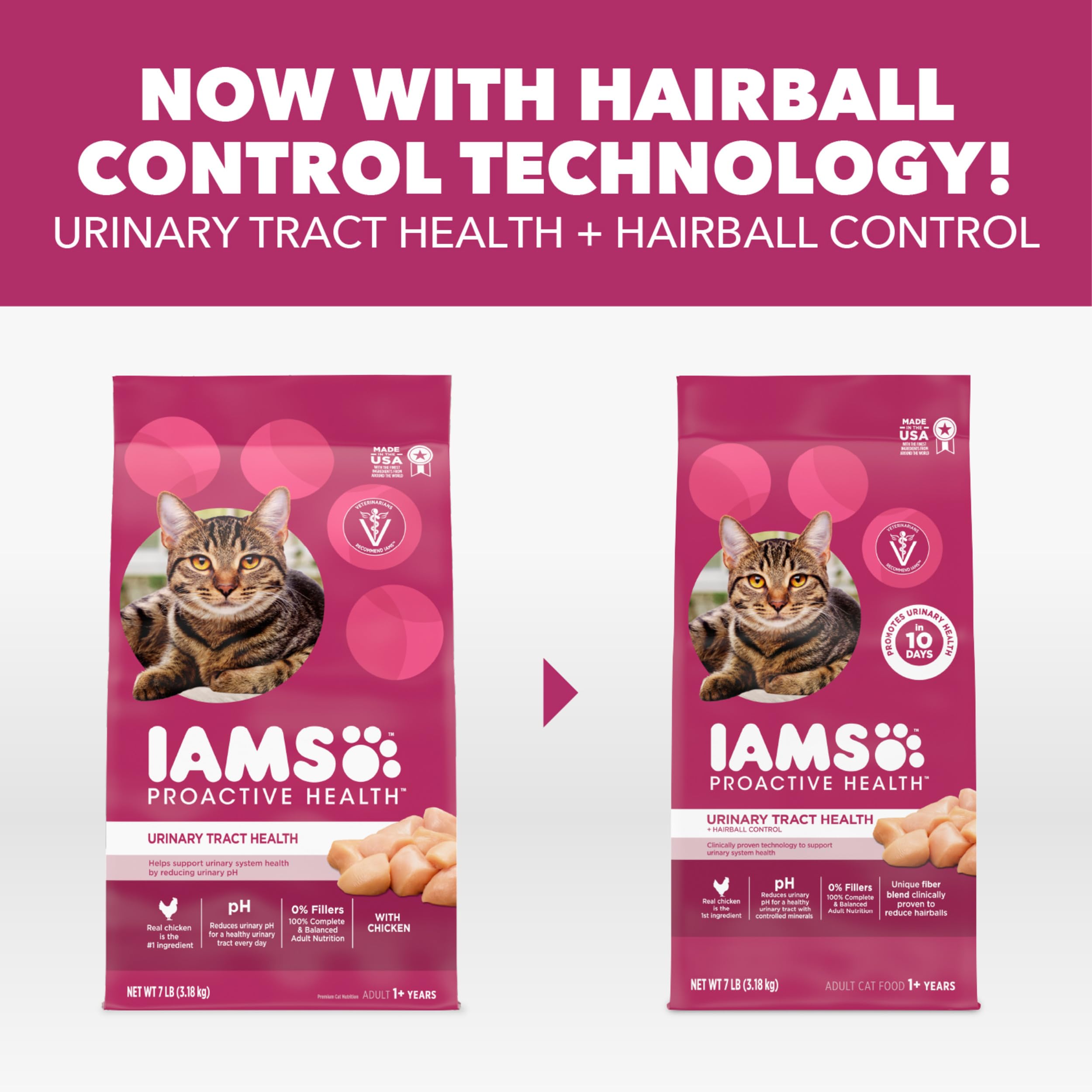 IAMS escena lifestyle con gato relajado resaltando bienestar diario