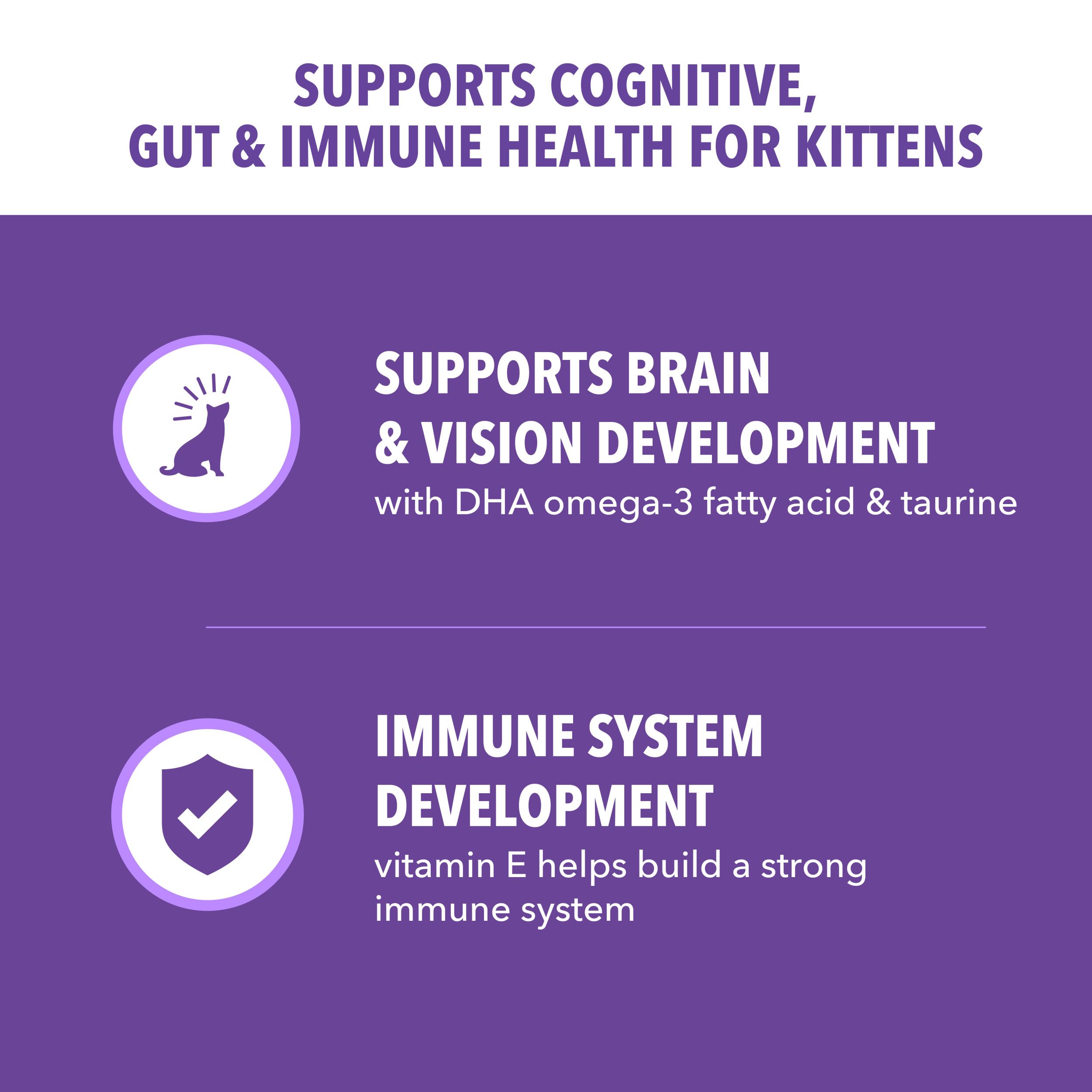 IAMS bol servido con pienso de gatitos, apoya energía y crecimiento