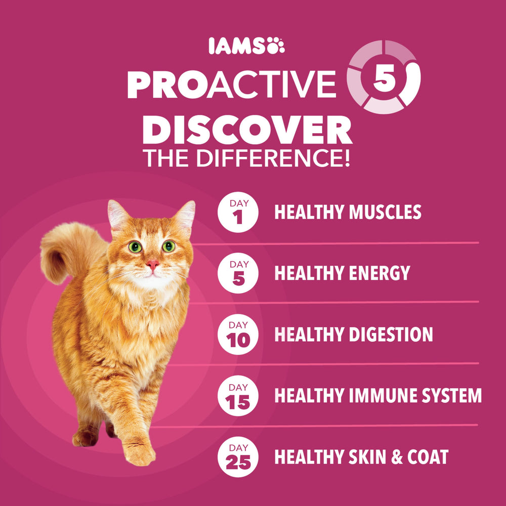 IAMS comparación de tamaño del paquete 7 lb para ver escala en casa