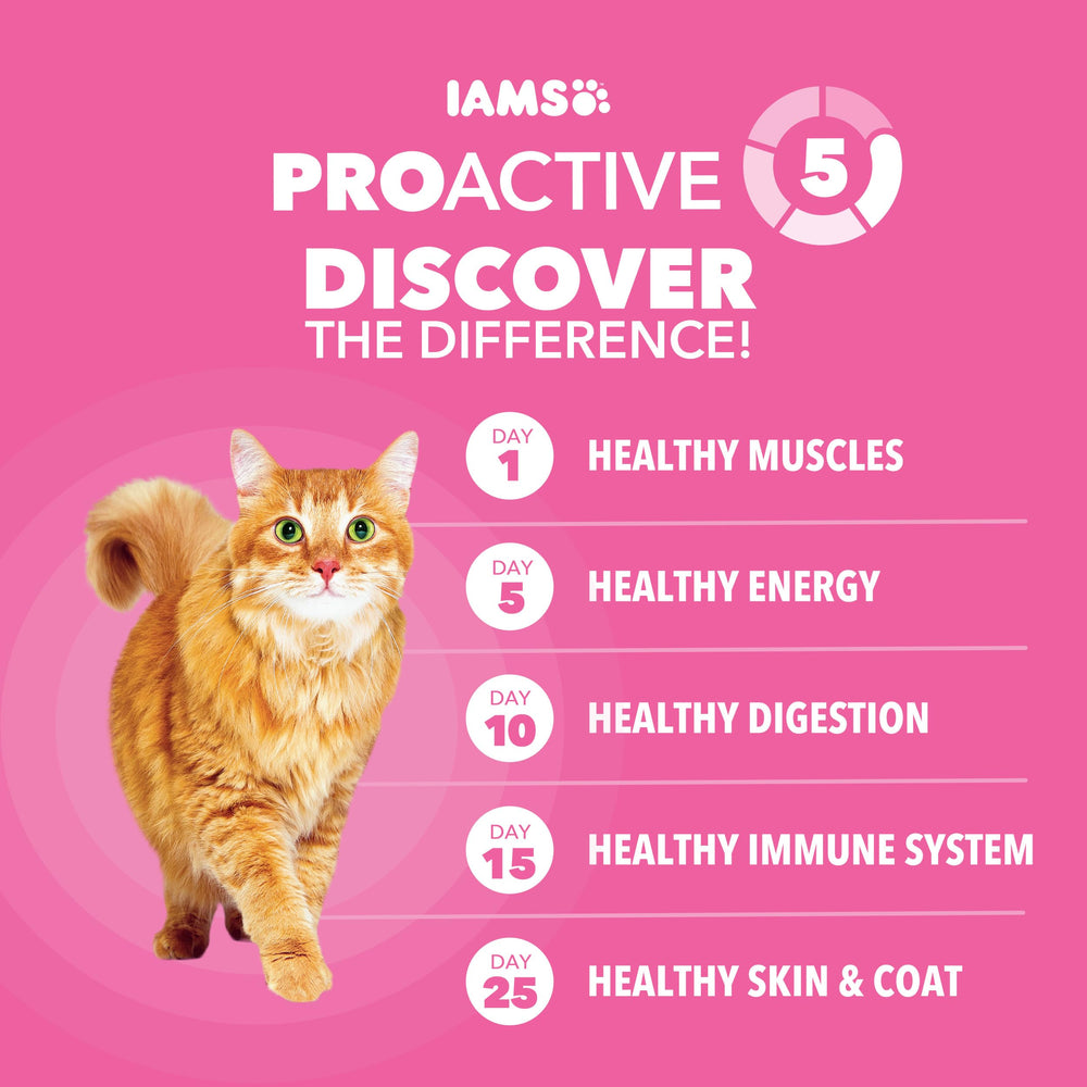 IAMS croqueta comparada con mano para visualizar tamaño y porciones