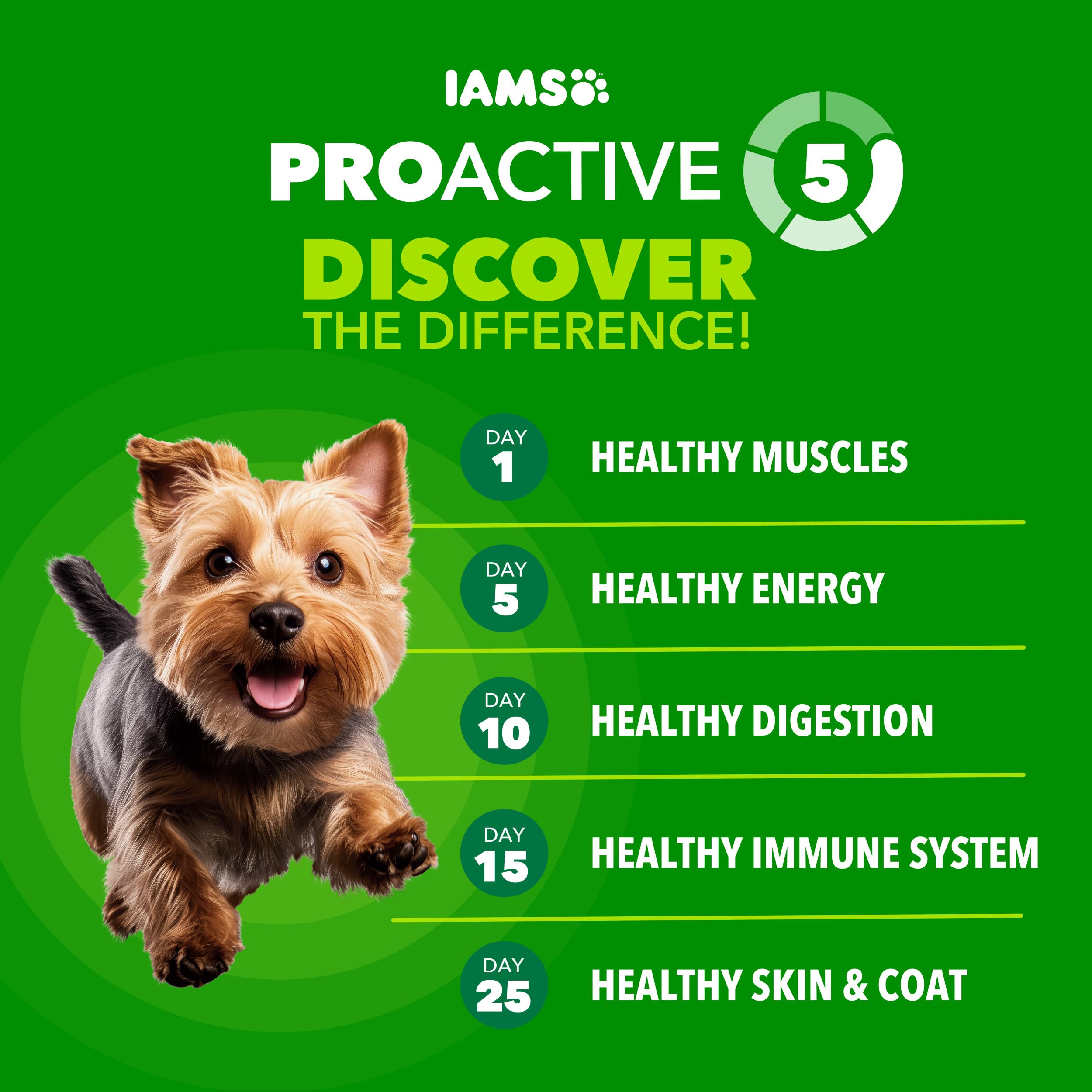 IAMS detalle de croqueta crujiente que muestra textura para limpieza dental