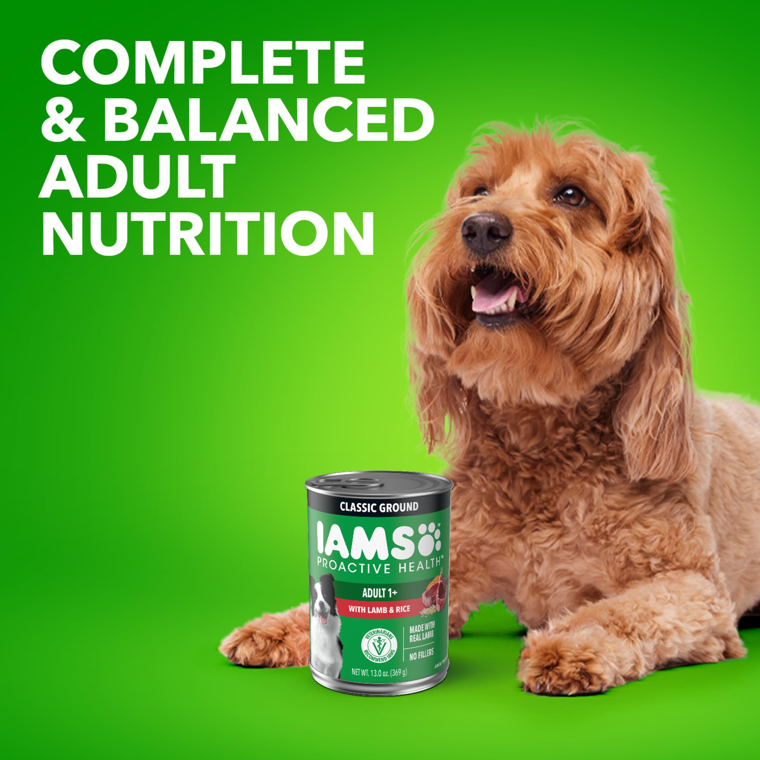 IAMS ambiente de cocina con lata en estilo lifestyle para compras del hogar