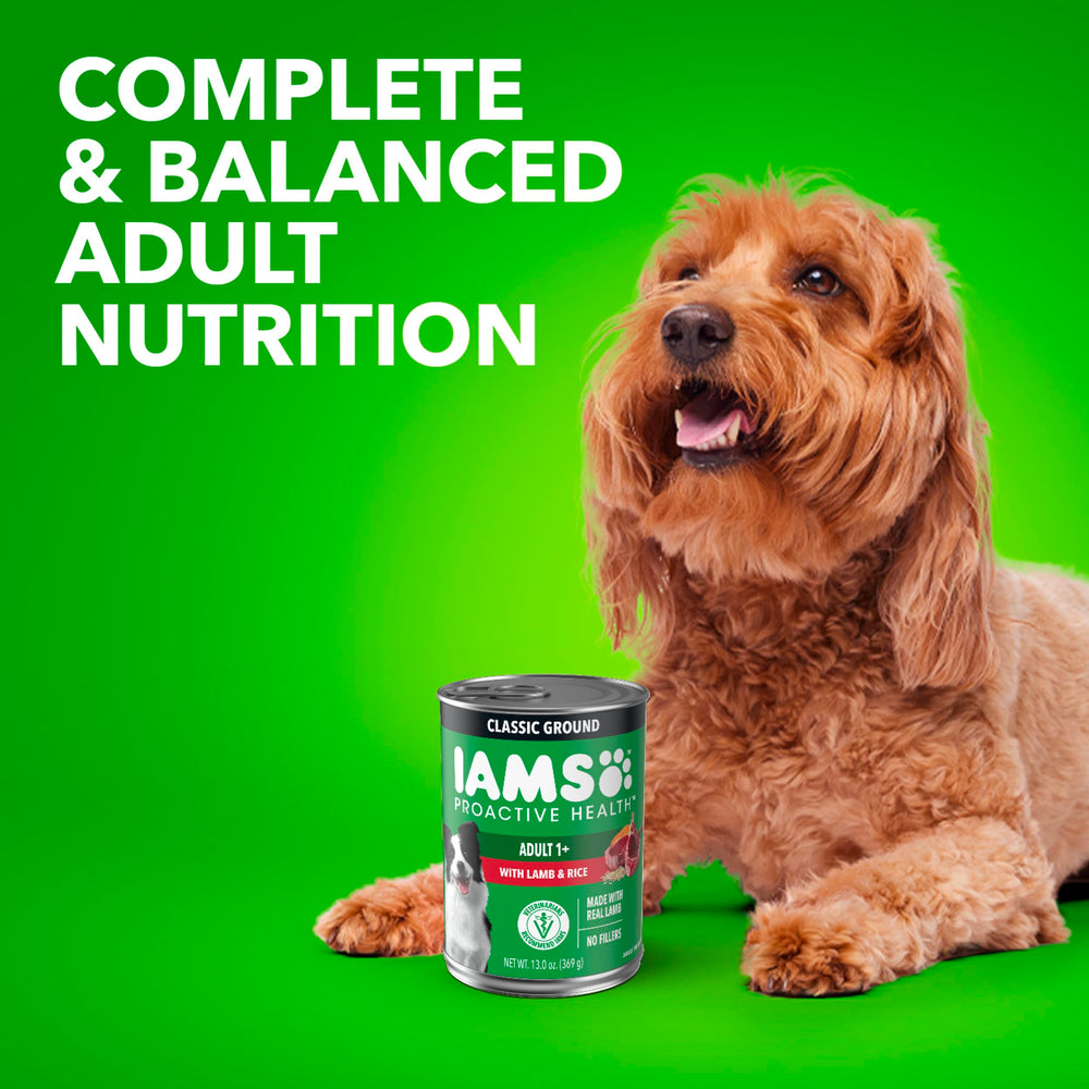 IAMS ambiente de cocina con lata en estilo lifestyle para compras del hogar