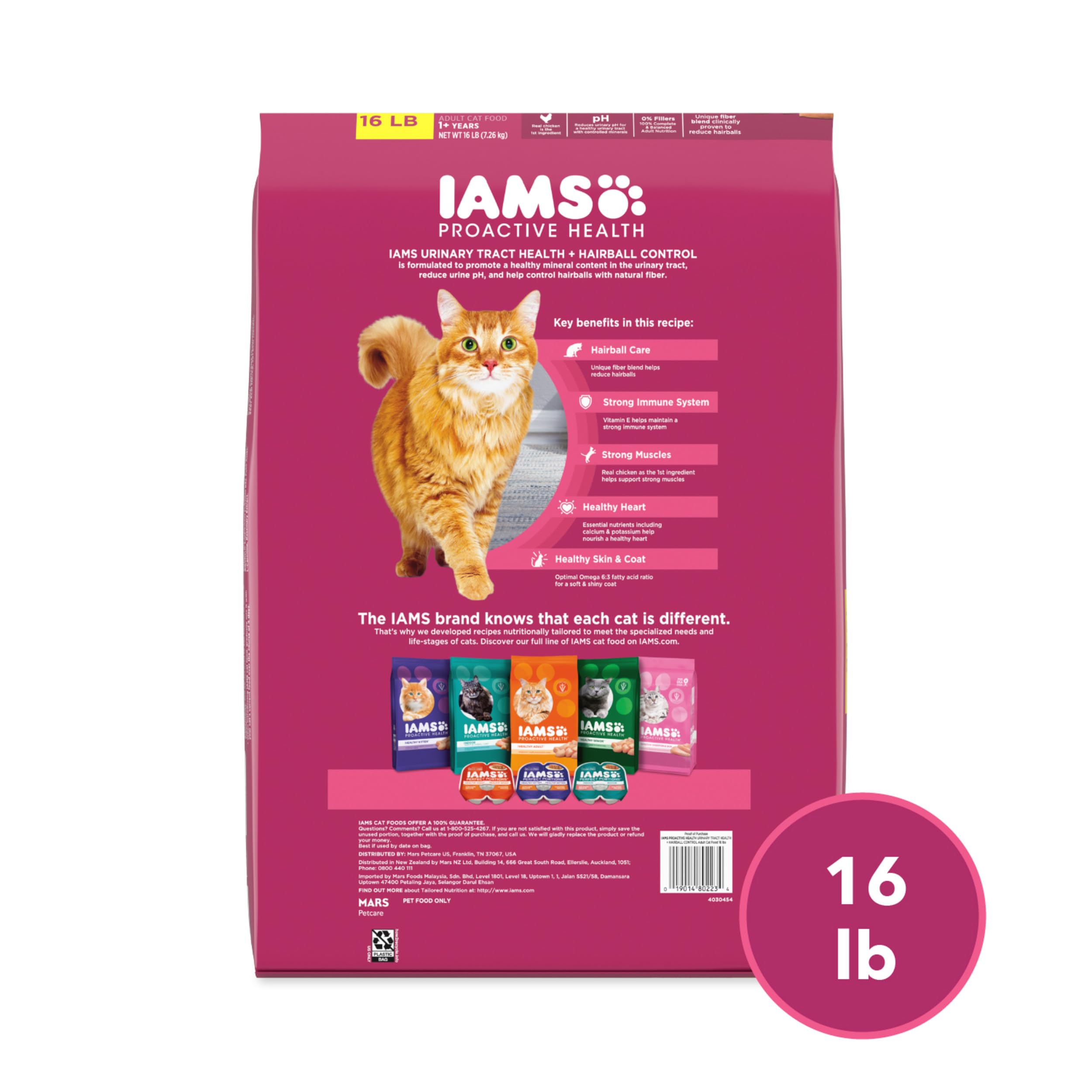 IAMS escena doméstica con gato y familia mostrando vida sana