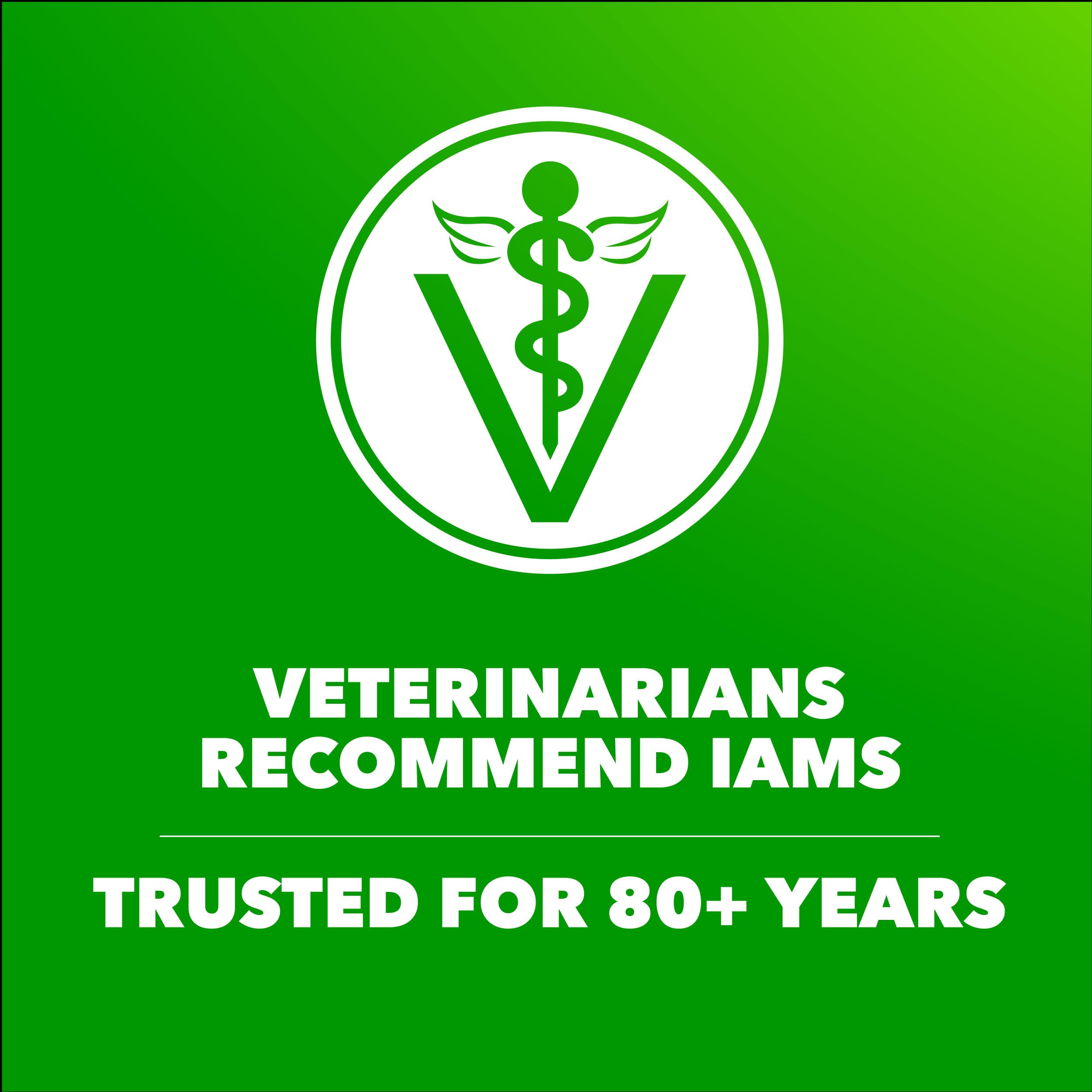 IAMS etiqueta nutricional cercana, facilita ver información clave