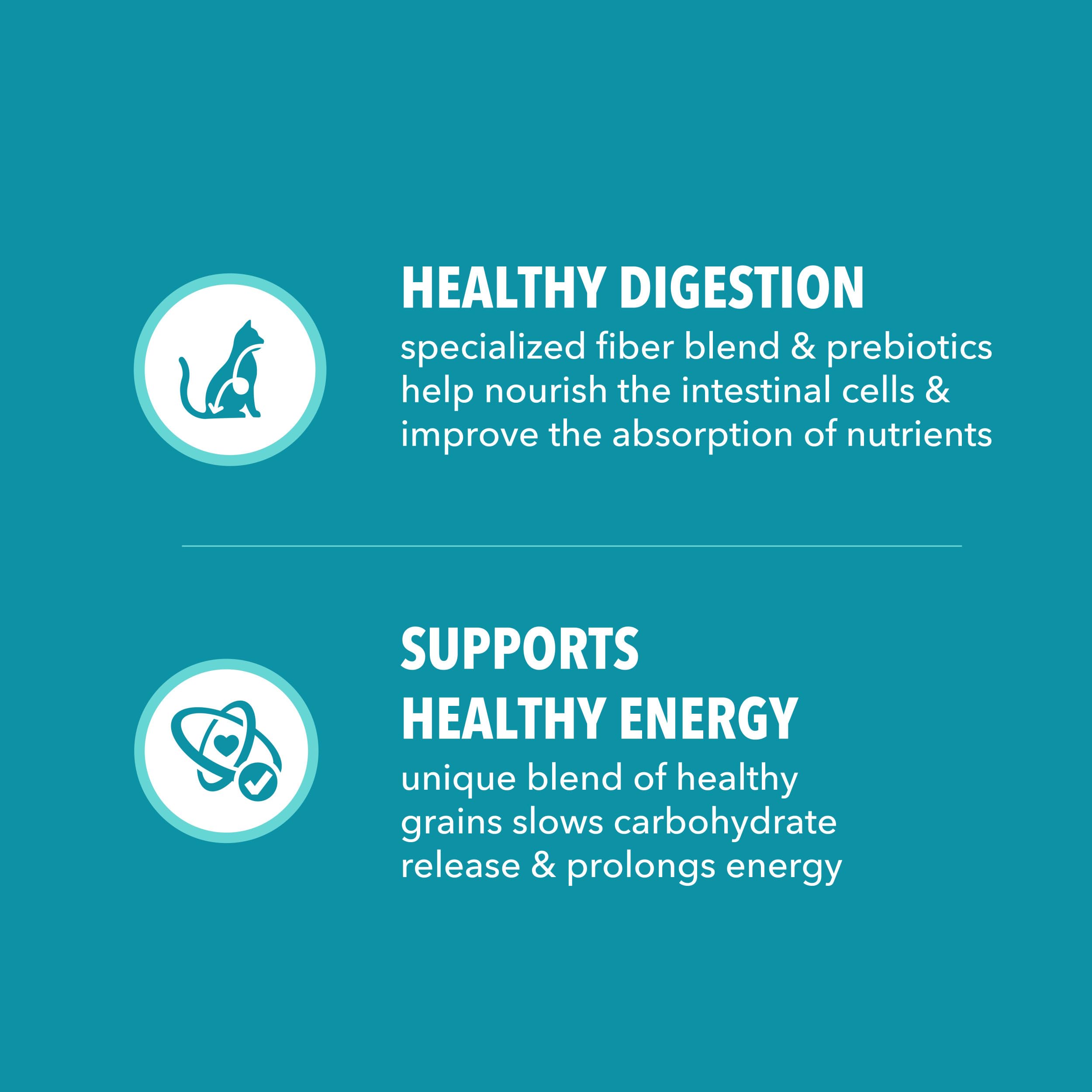IAMS etiqueta nutricional en primer plano, información clara