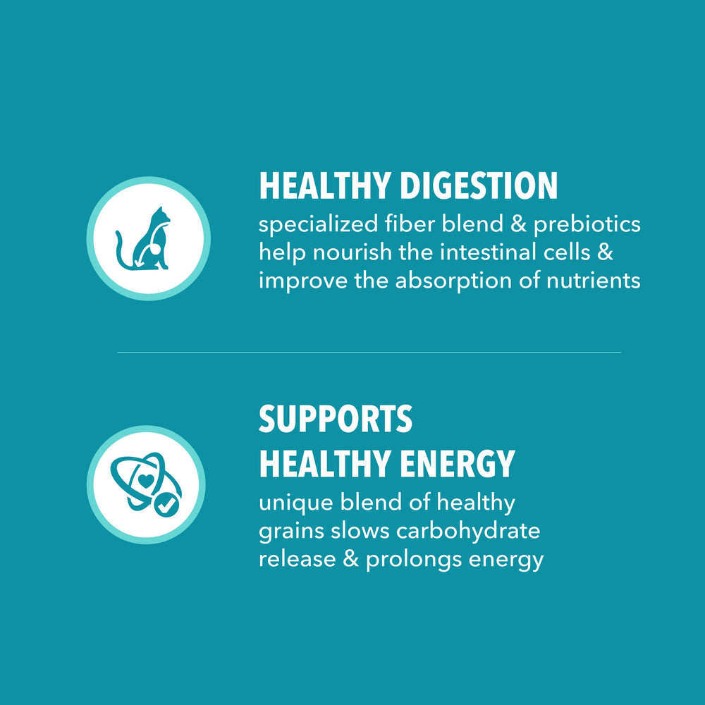 IAMS etiqueta nutricional en primer plano, información clara