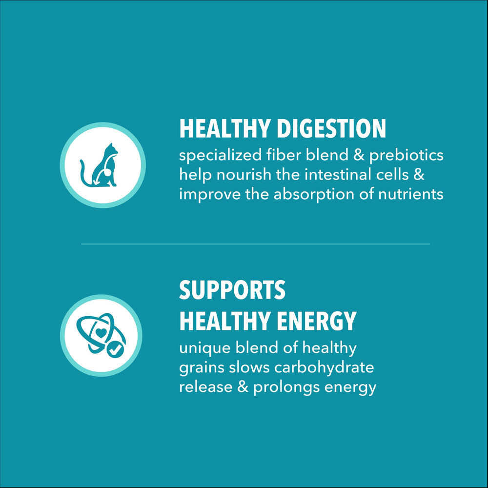 IAMS etiqueta nutricional mostrando ingredientes y garantías