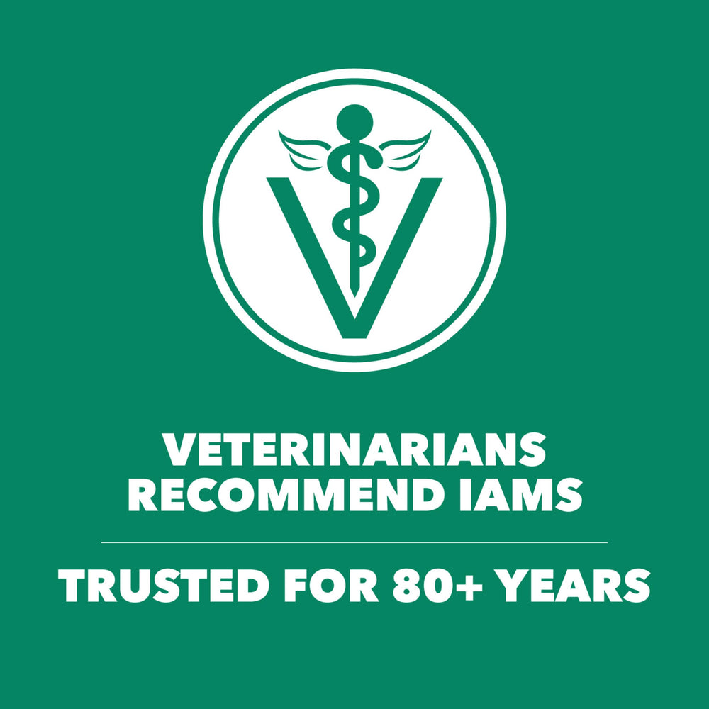 IAMS etiqueta nutricional destacando nutrientes y antioxidantes