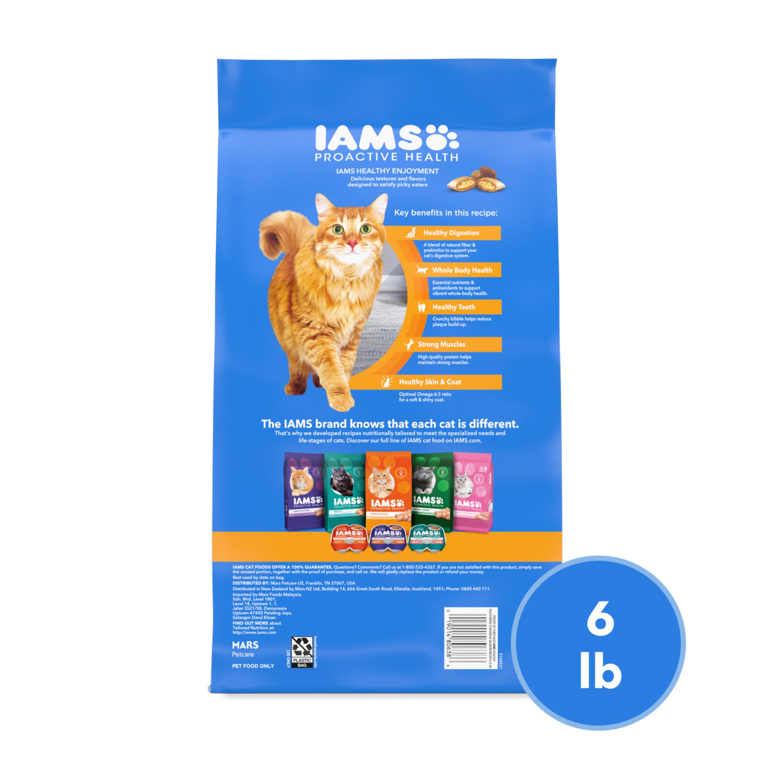 IAMS gato comiendo pienso demostrando aceptación y disfrute